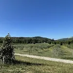 Lombardi Bologna - San Lazzaro La Mura San Carlo