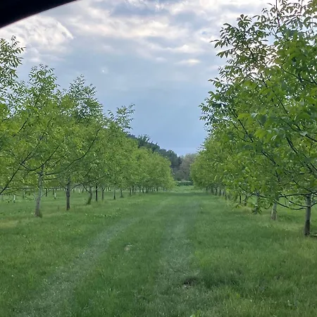 Lombardi Bologna - San Lazzaro